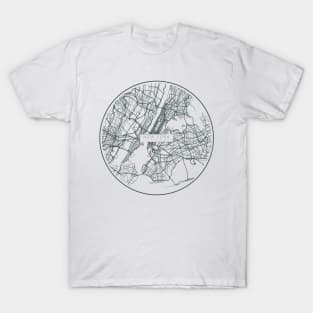 New York Is In My Veins T-Shirt